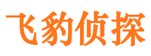 蔡甸市婚姻出轨调查